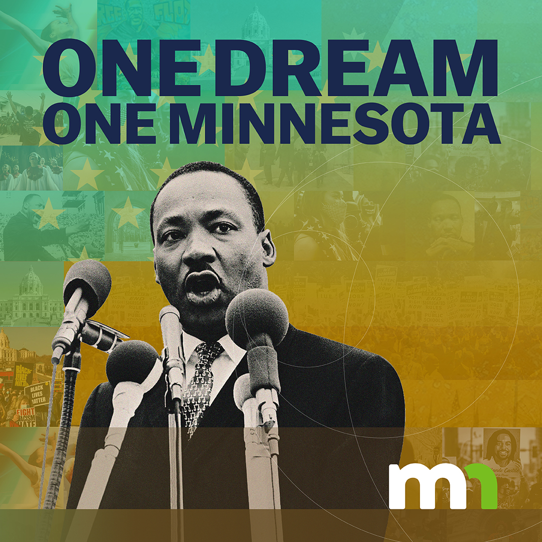 MN Board of Public Defense